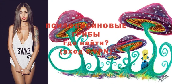 PSILOCYBIN Беломорск